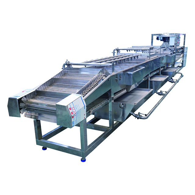 Машина и линия для мойки целых овощей